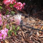 Магазин-склад «Техника Полива34» на Тулака